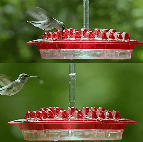 Zewnętrzny karmnik dla kolibrów