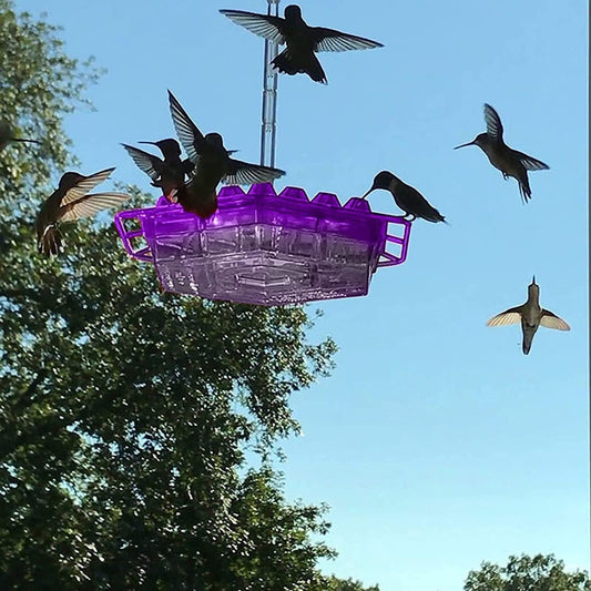 Zewnętrzny karmnik dla kolibrów