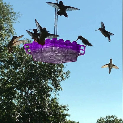 Zewnętrzny karmnik dla kolibrów